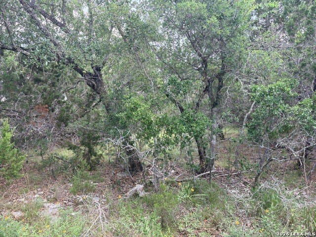 3 acres in Comal County - photo 14