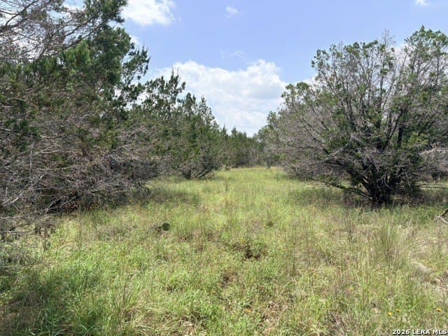 3 acres in Comal County - photo 13