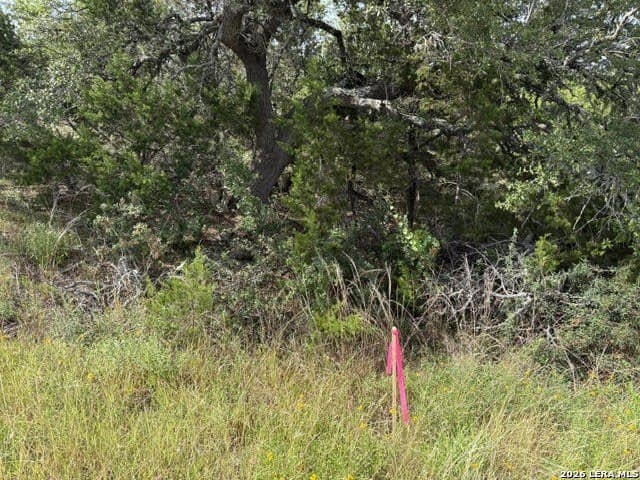 3 acres in Comal County - photo 30