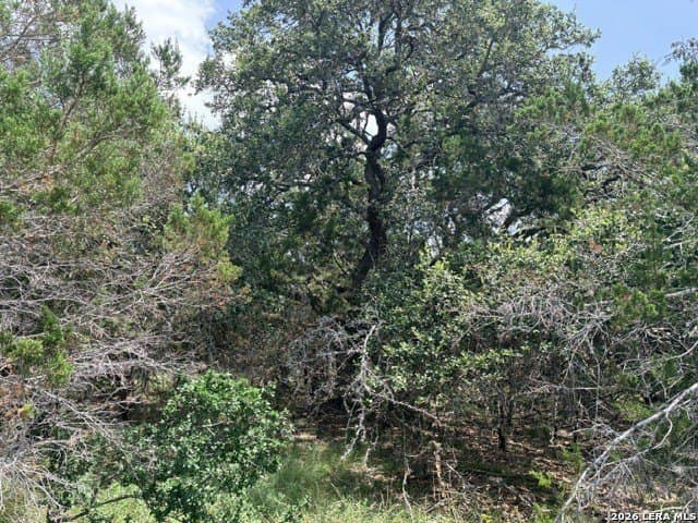 3 acres in Comal County - photo 11