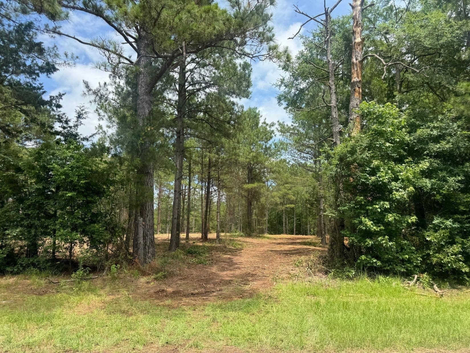 8.42 acres in Marion County - photo 6