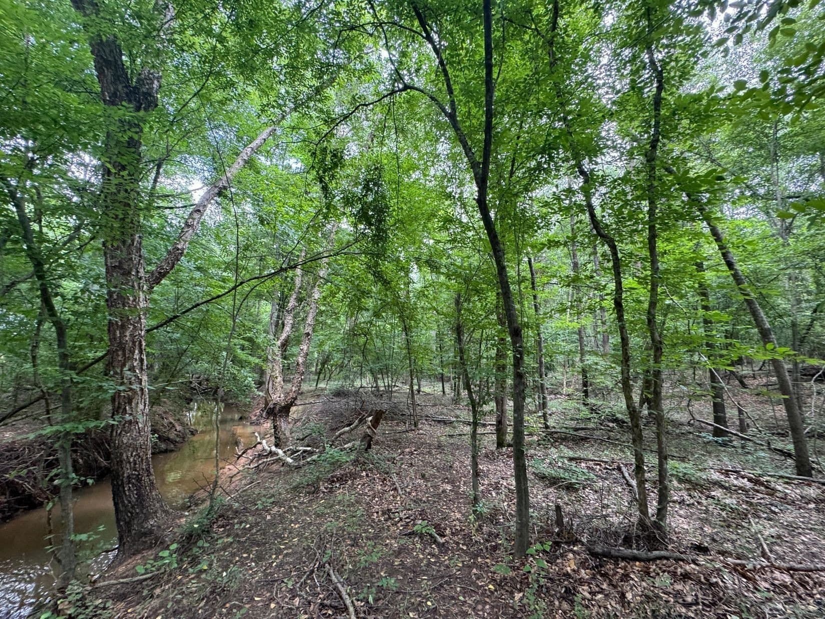 8.42 acres in Marion County - photo 4