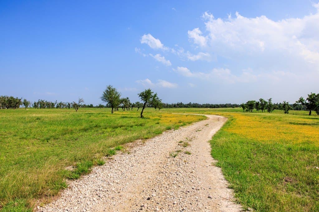69 acres in Gillespie County gallery image 3