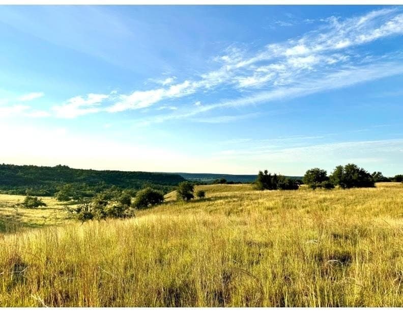 69 acres in Gillespie County featured view