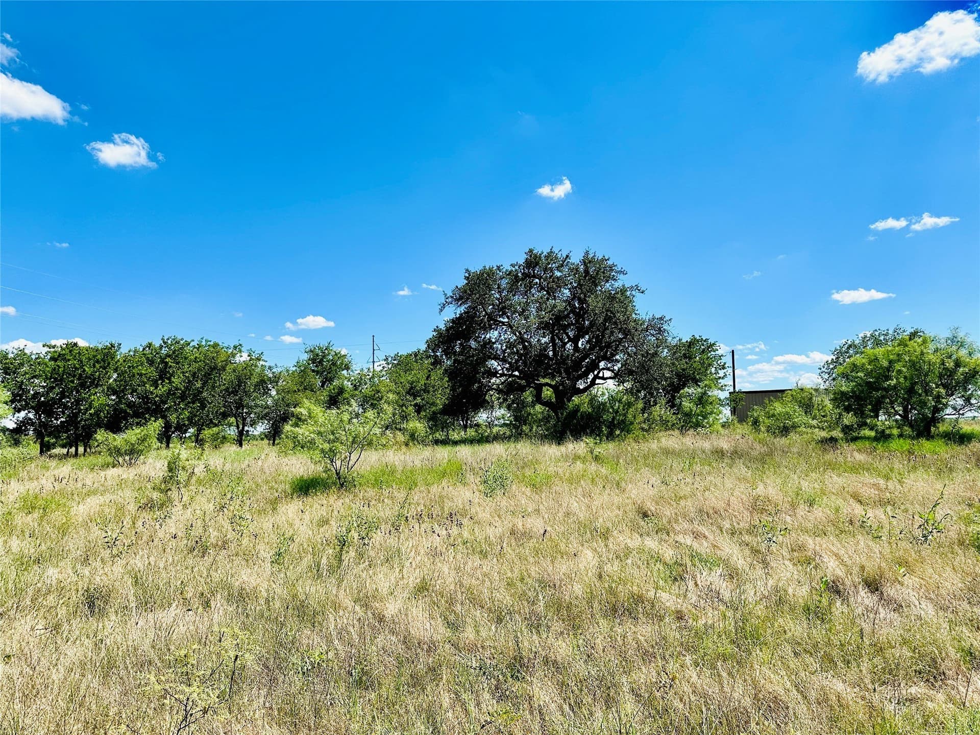 107.13 acres in Coleman County - photo 39