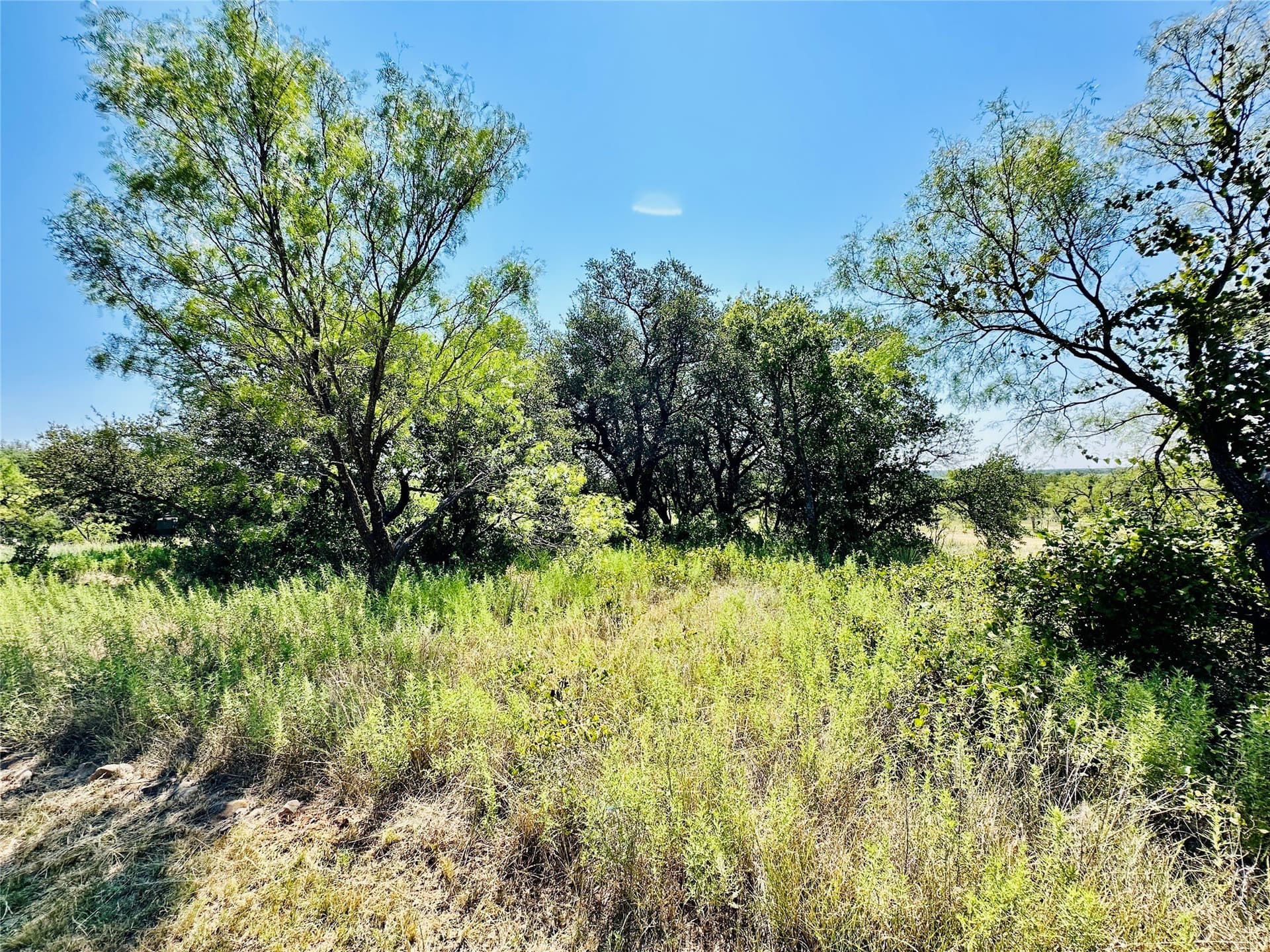 107.13 acres in Coleman County - photo 32