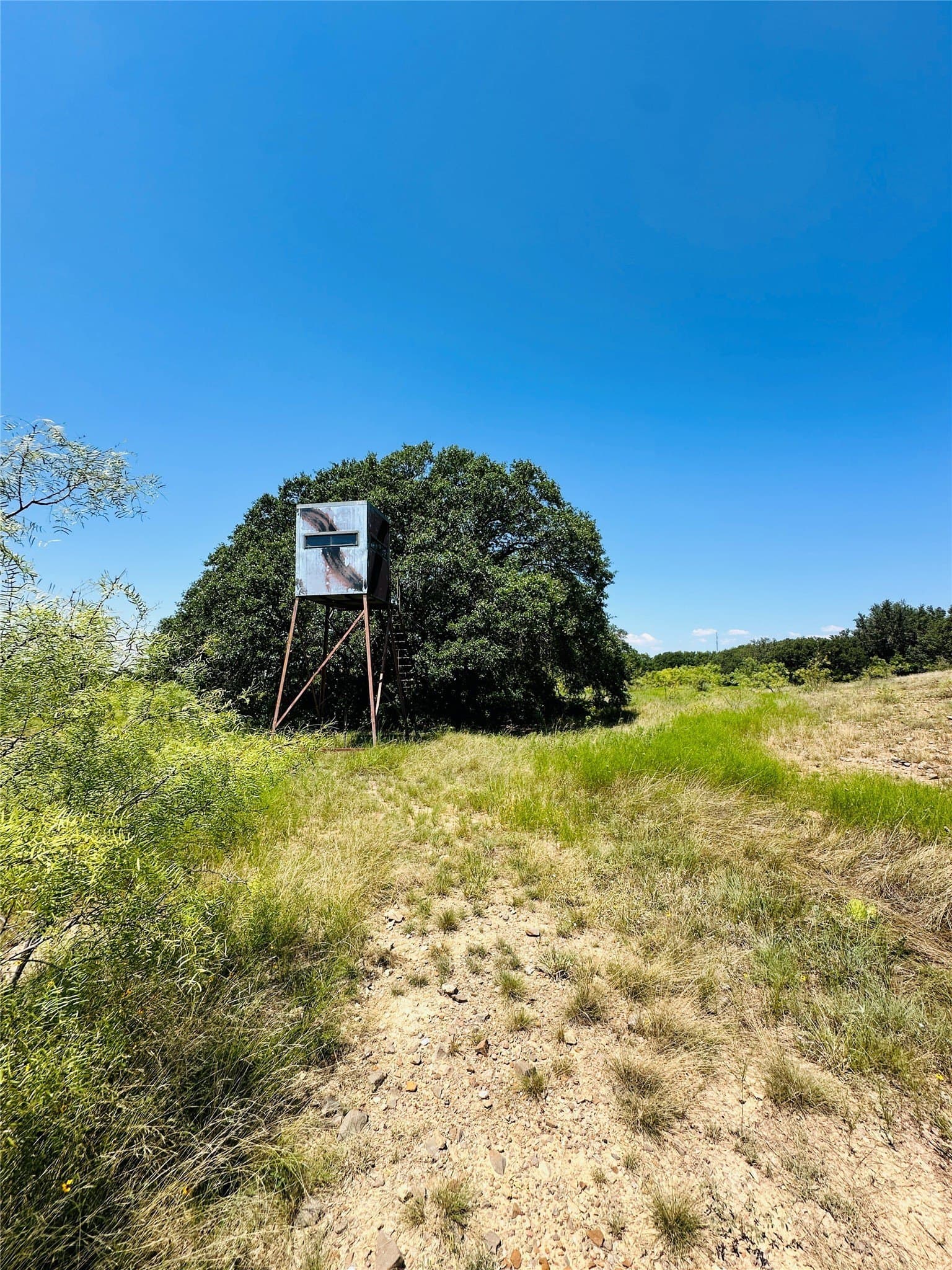 107.13 acres in Coleman County - photo 31