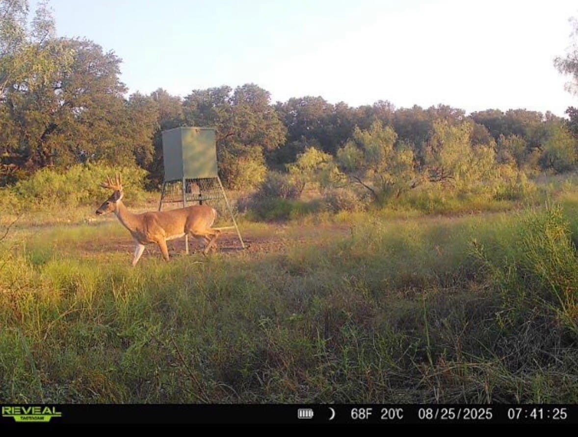 107.13 acres in Coleman County - photo 33
