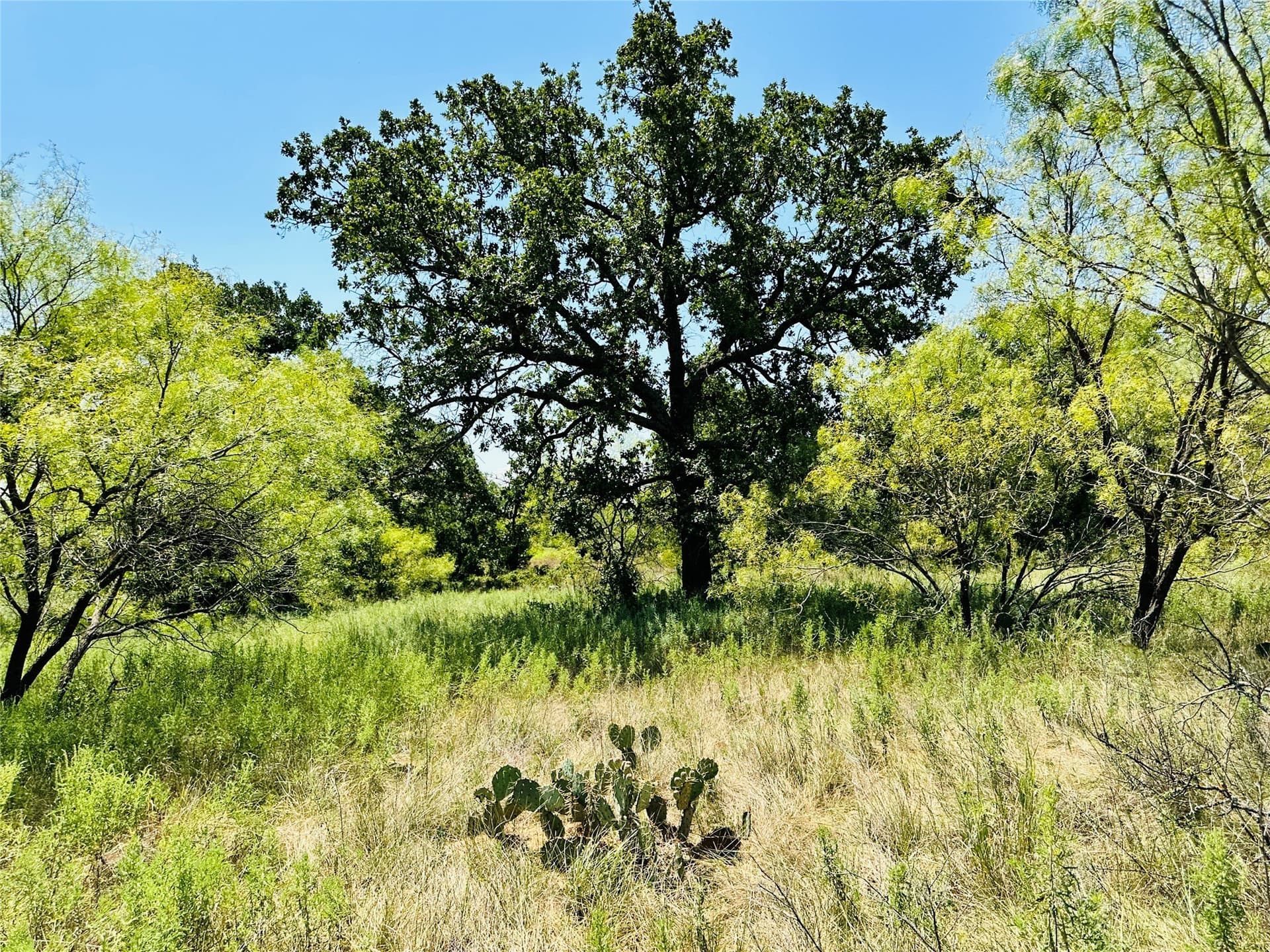 107.13 acres in Coleman County - photo 34