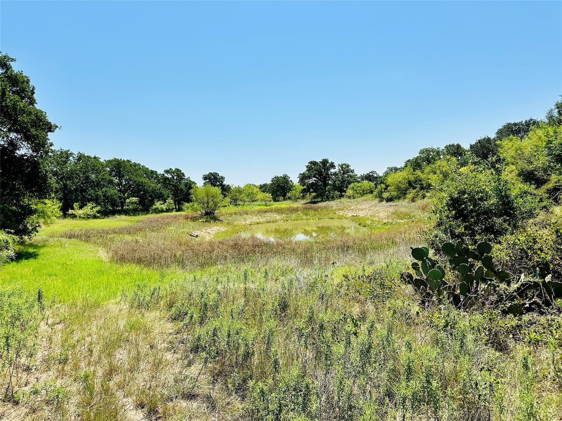 107.13 acres in Coleman County - photo 27