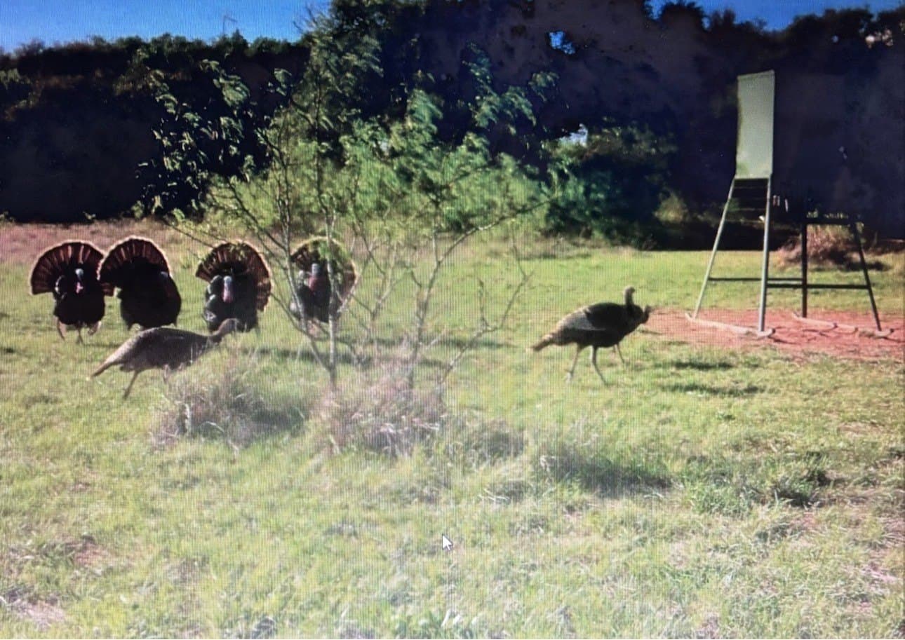 107.13 acres in Coleman County - photo 38