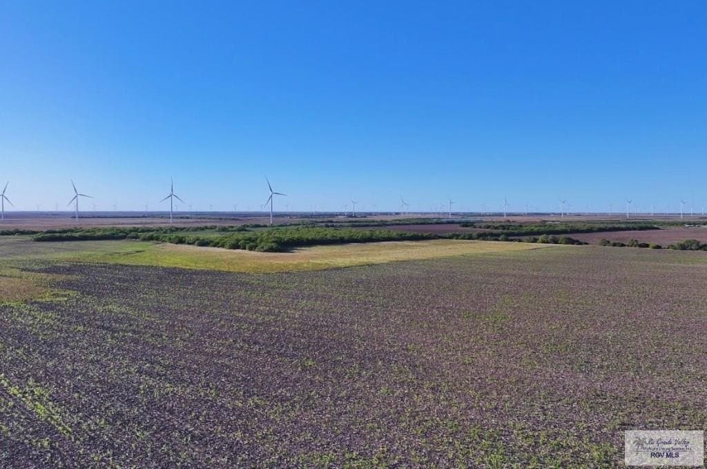 13.09 acres in WILLACY County featured view