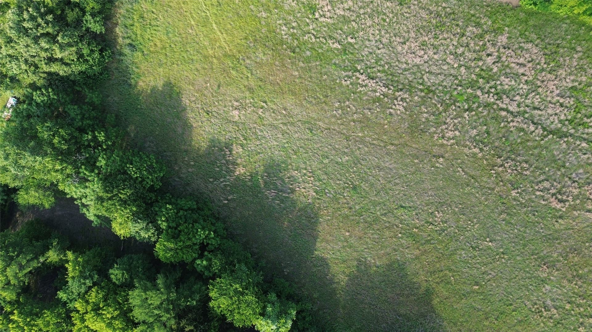 1.11 acres in Kaufman County - photo 5