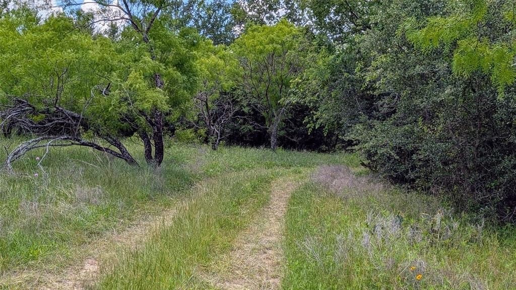 74.28 acres in Erath County gallery image 2