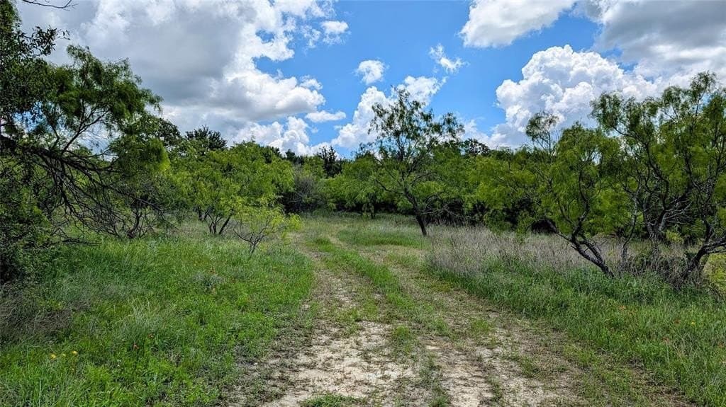 74.28 acres in Erath County featured view