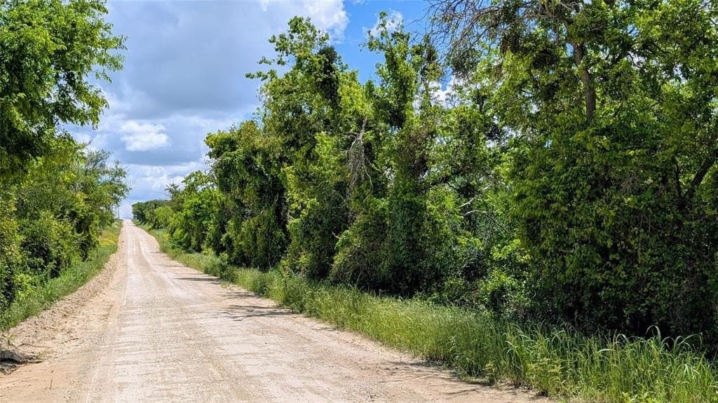 74.28 acres in Erath County gallery image 3