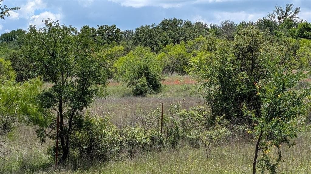 74.28 acres in Erath County gallery image 4