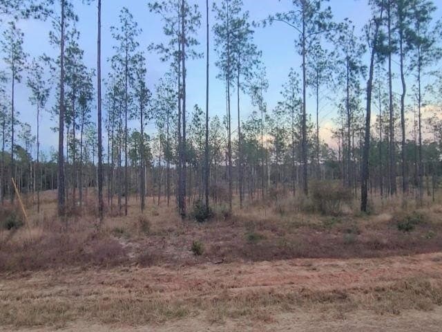 1 acres in Texas County gallery image 2