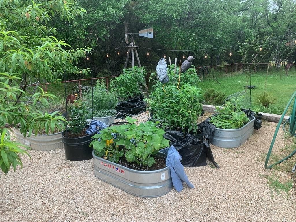 55 acres in Menard County gallery image 4