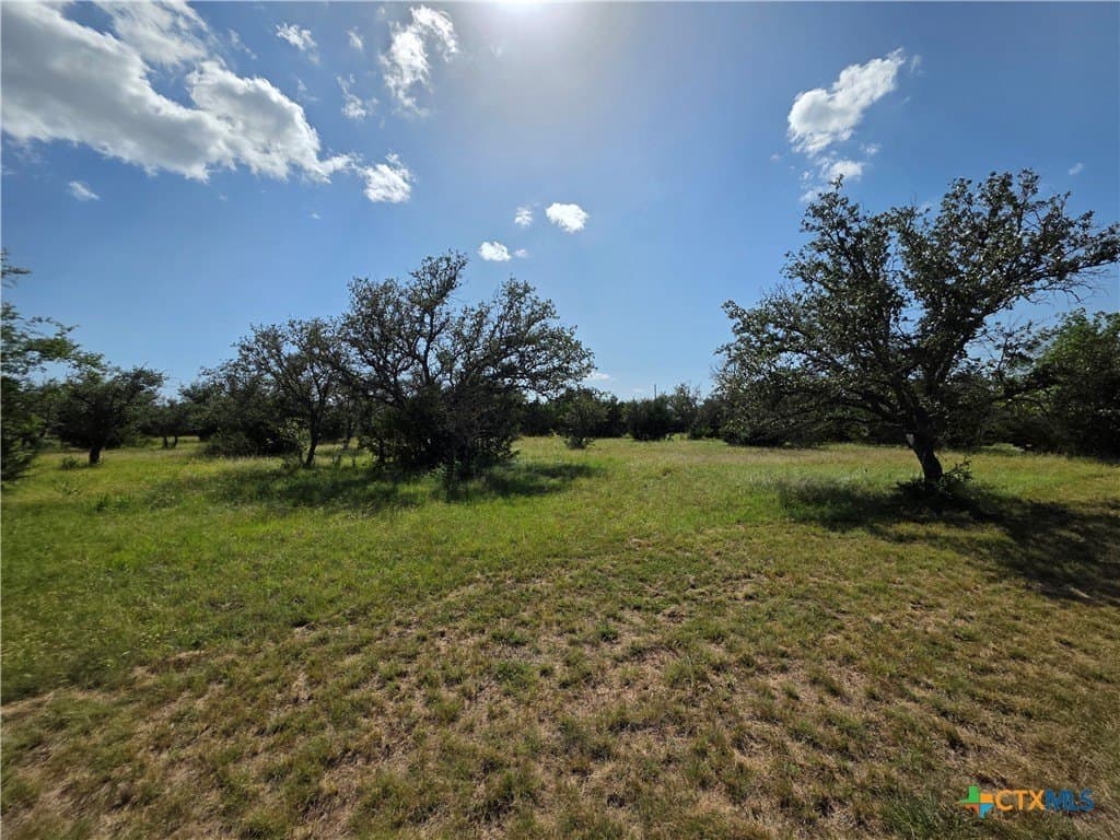 12.18 acres in Burnet County - photo 22
