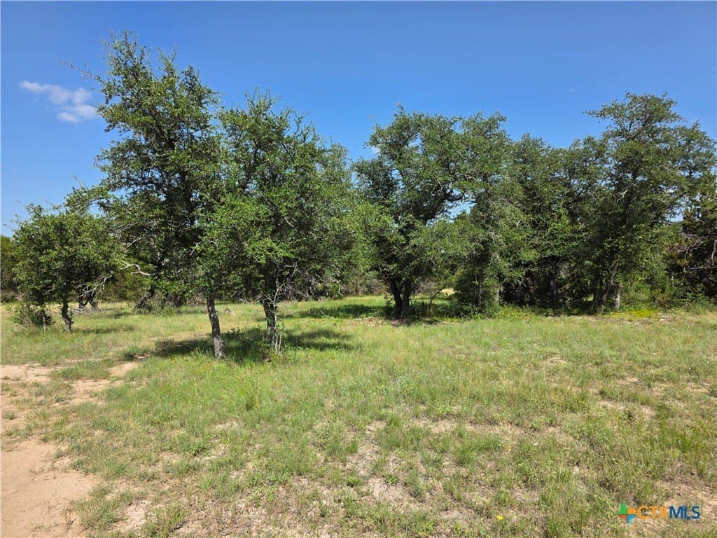12.18 acres in Burnet County - photo 26