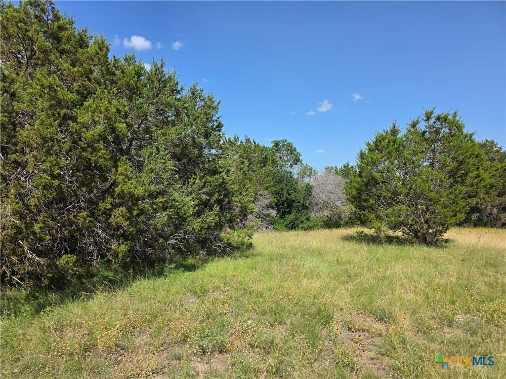 12.18 acres in Burnet County - photo 29