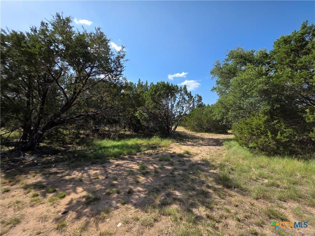 12.18 acres in Burnet County - photo 27