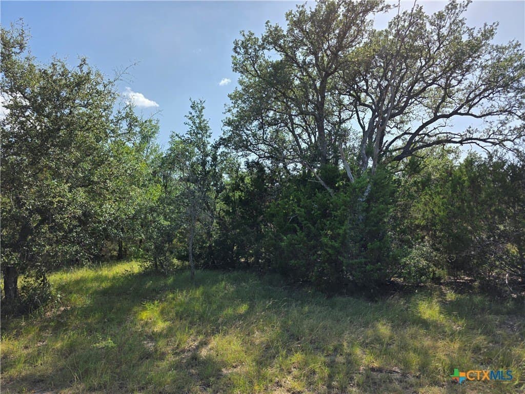 12.18 acres in Burnet County - photo 33
