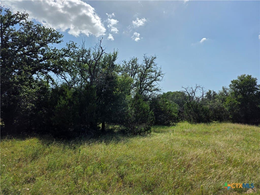 12.18 acres in Burnet County - photo 25