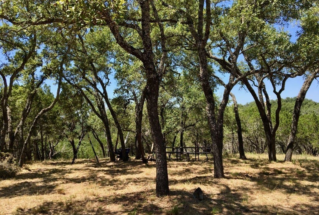 9.45 acres in Burnet County - photo 14