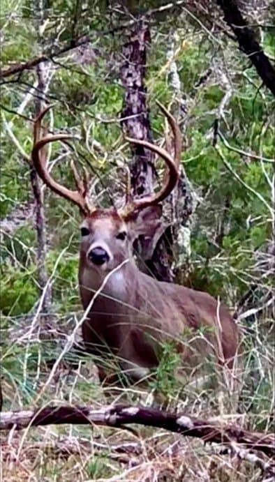 9.45 acres in Burnet County - photo 30