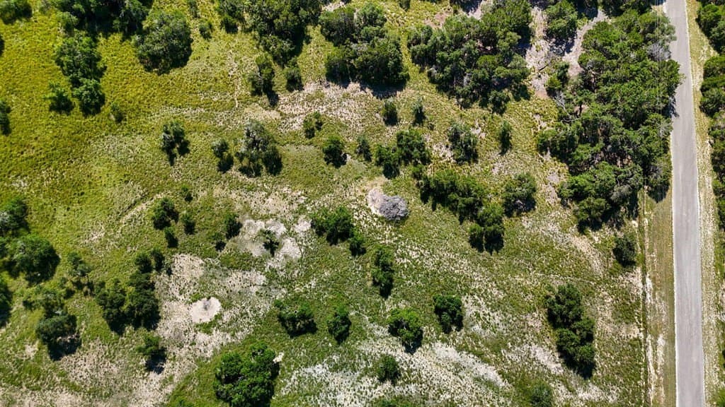 17.76 acres in Hays County - photo 26