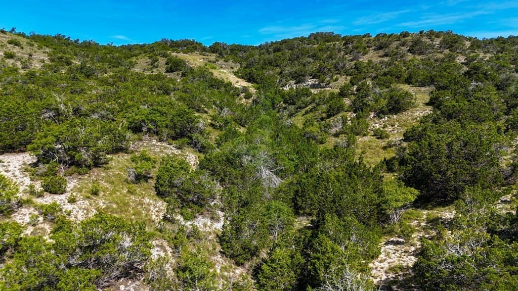 17.76 acres in Hays County - photo 14