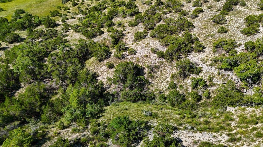 17.76 acres in Hays County - photo 18