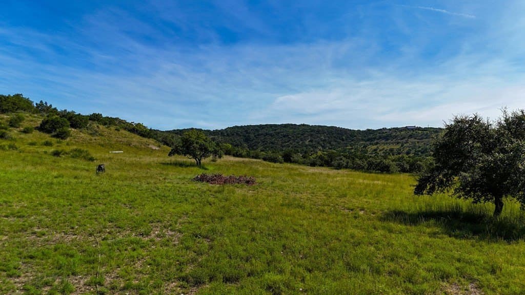 17.76 acres in Hays County - photo 22