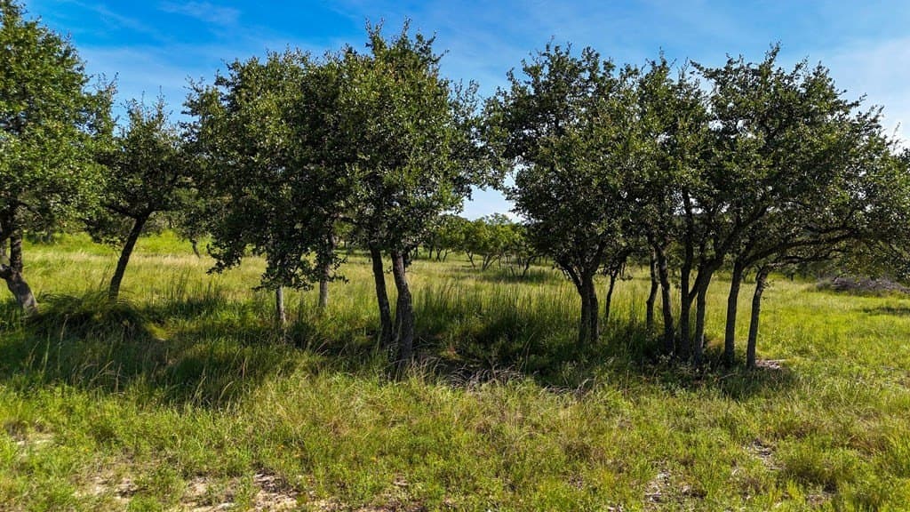 17.76 acres in Hays County - photo 10