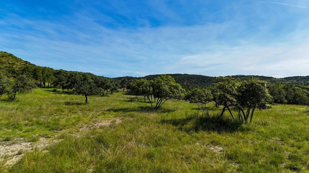 17.76 acres in Hays County - photo 11