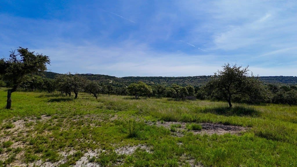 17.76 acres in Hays County - photo 23