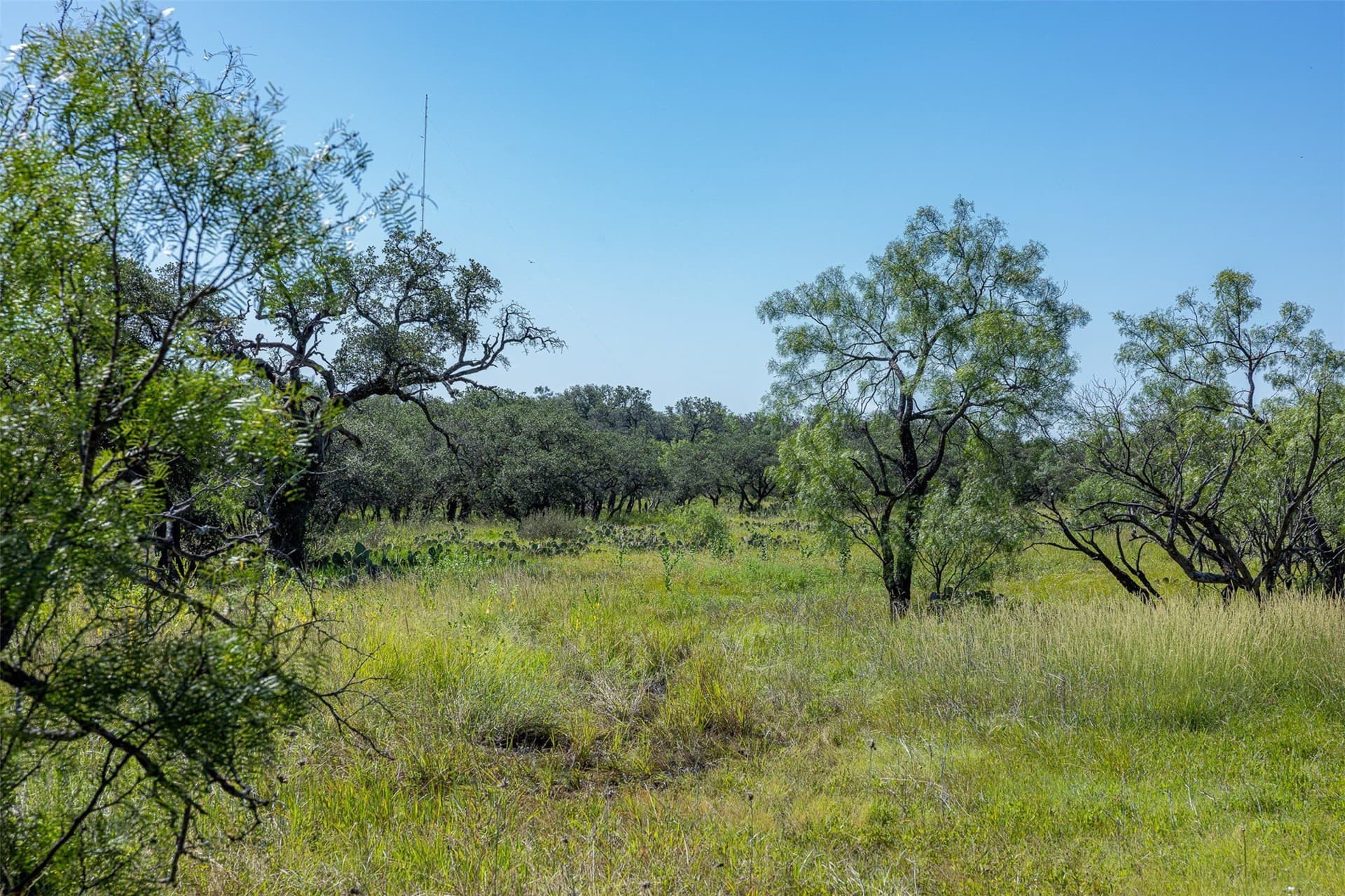 160 acres in McCulloch County - photo 14