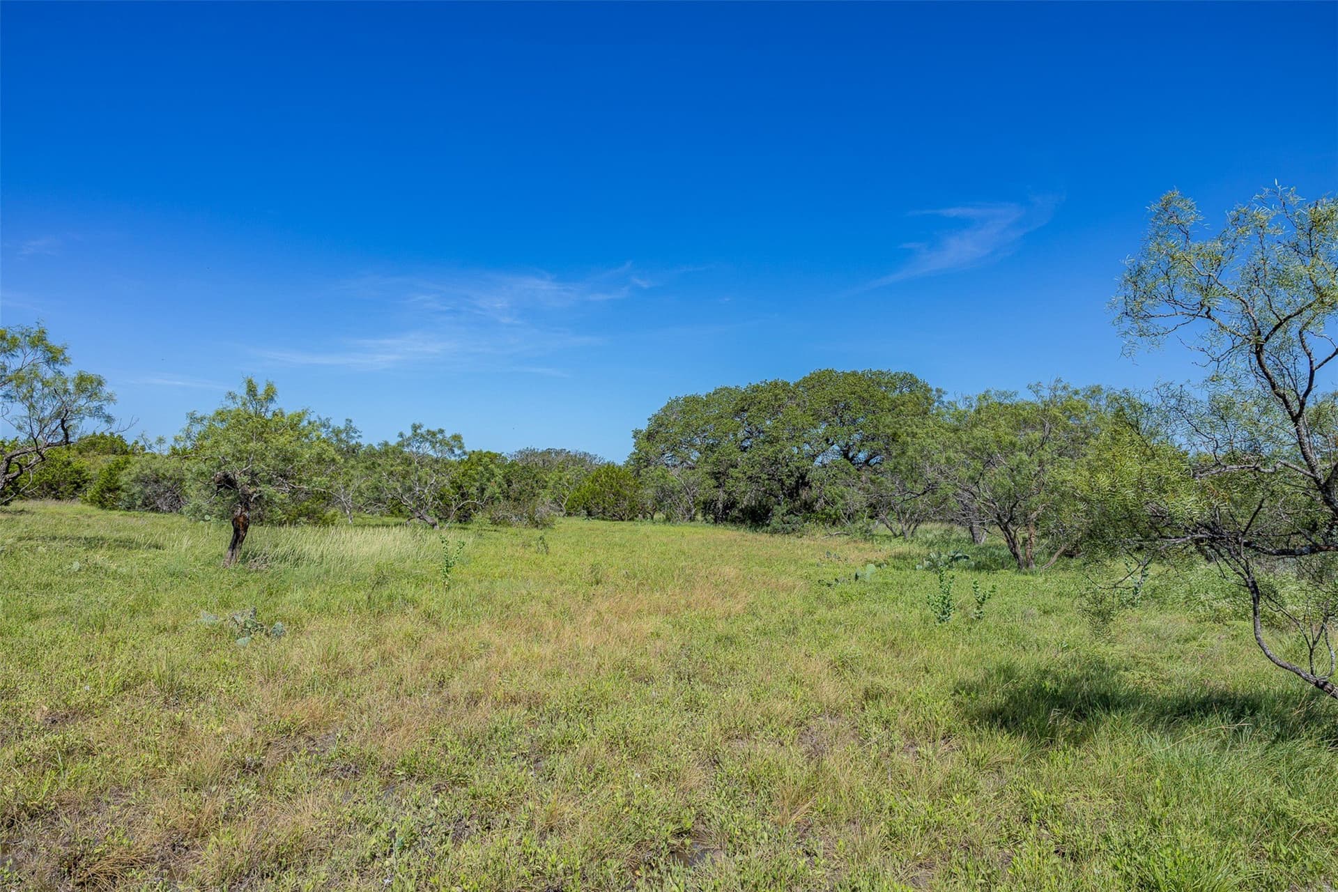 160 acres in McCulloch County - photo 20