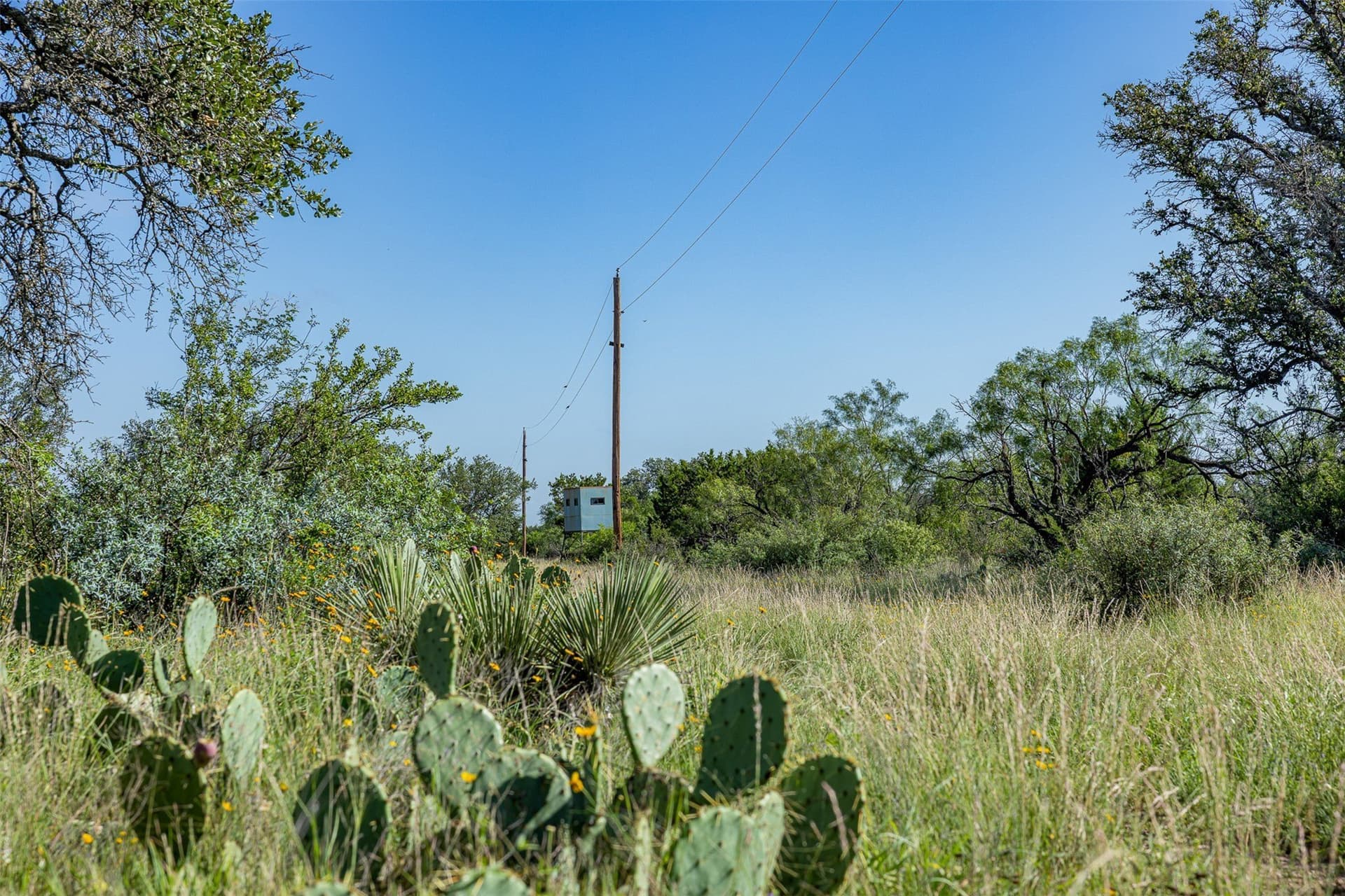 160 acres in McCulloch County - photo 23