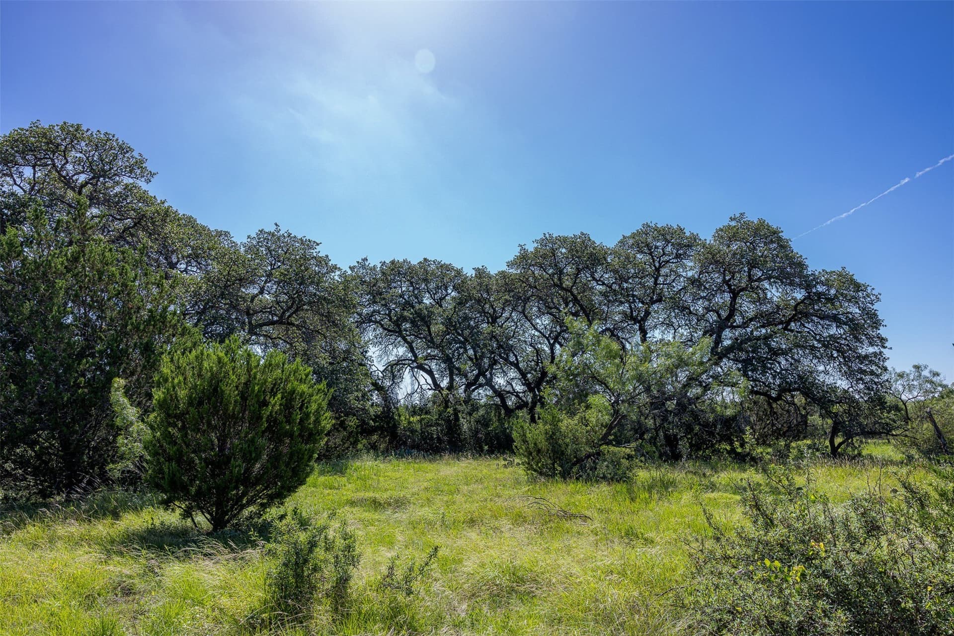 160 acres in McCulloch County - photo 12