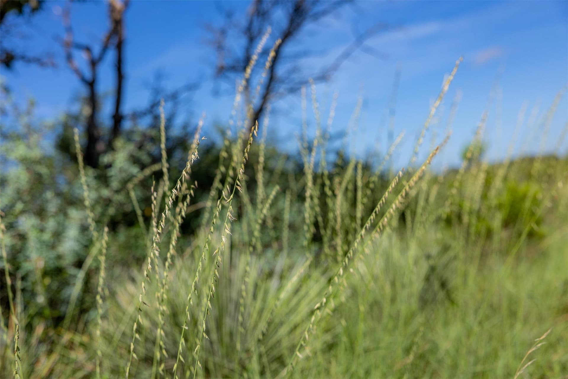 160 acres in McCulloch County - photo 16