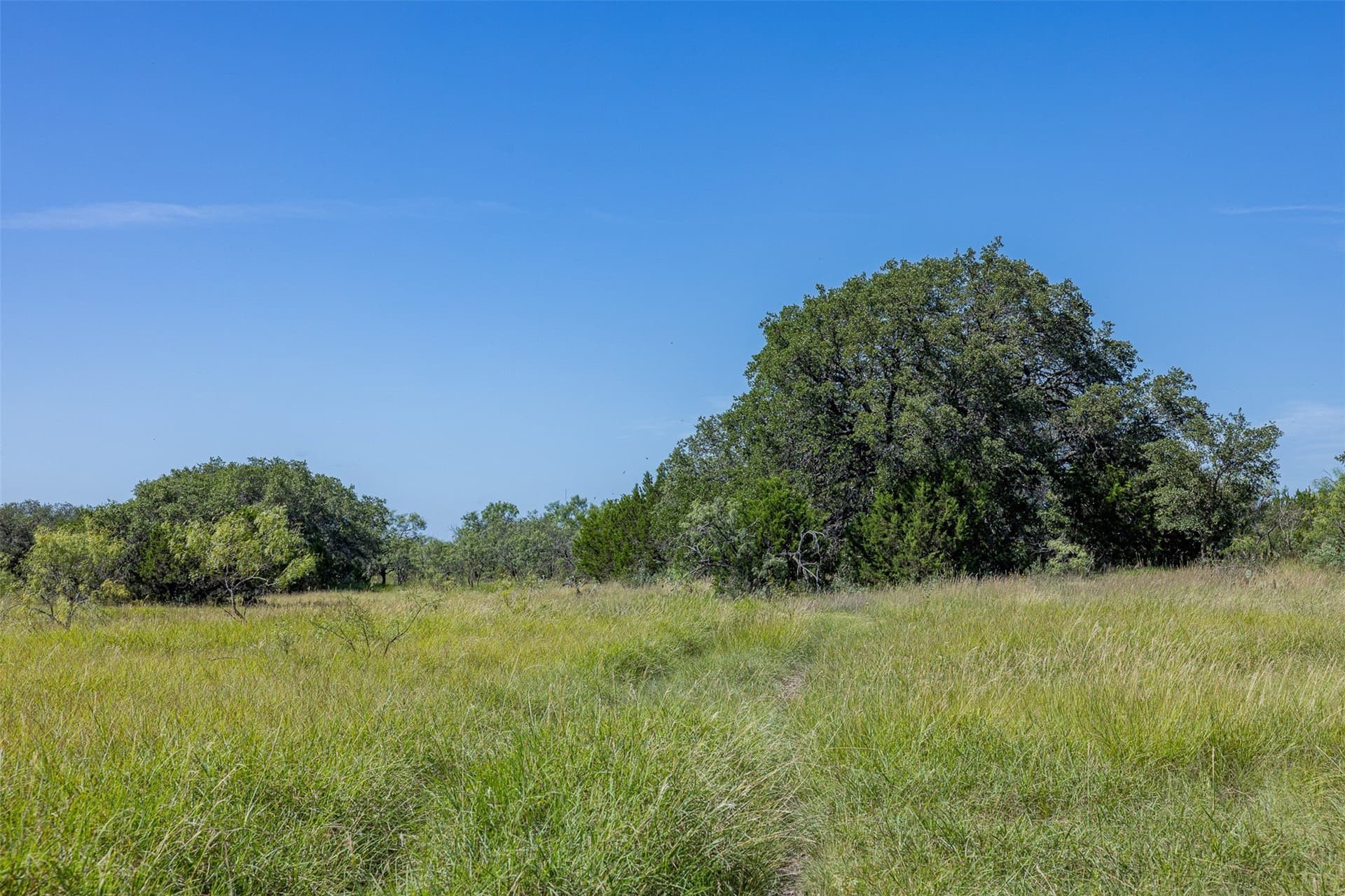 160 acres in McCulloch County - photo 11