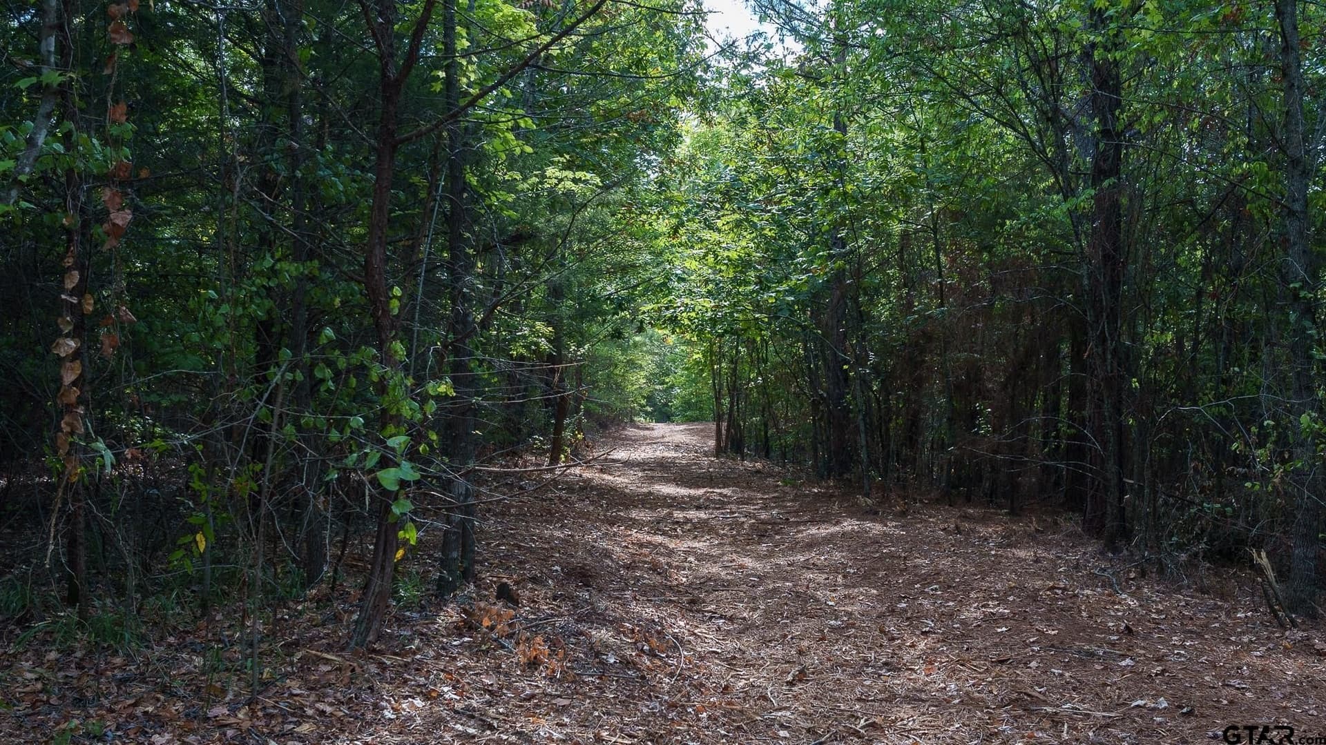 141.79 acres in Smith County - photo 42