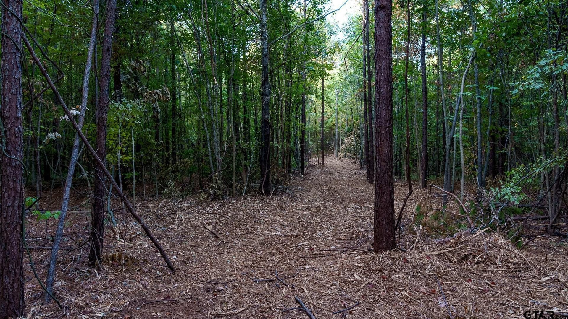 141.79 acres in Smith County - photo 22