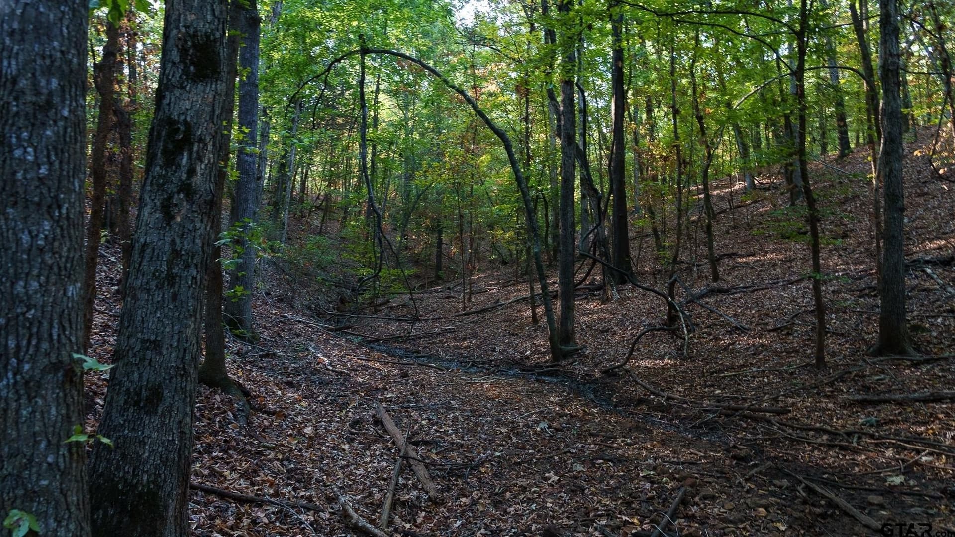 141.79 acres in Smith County - photo 31