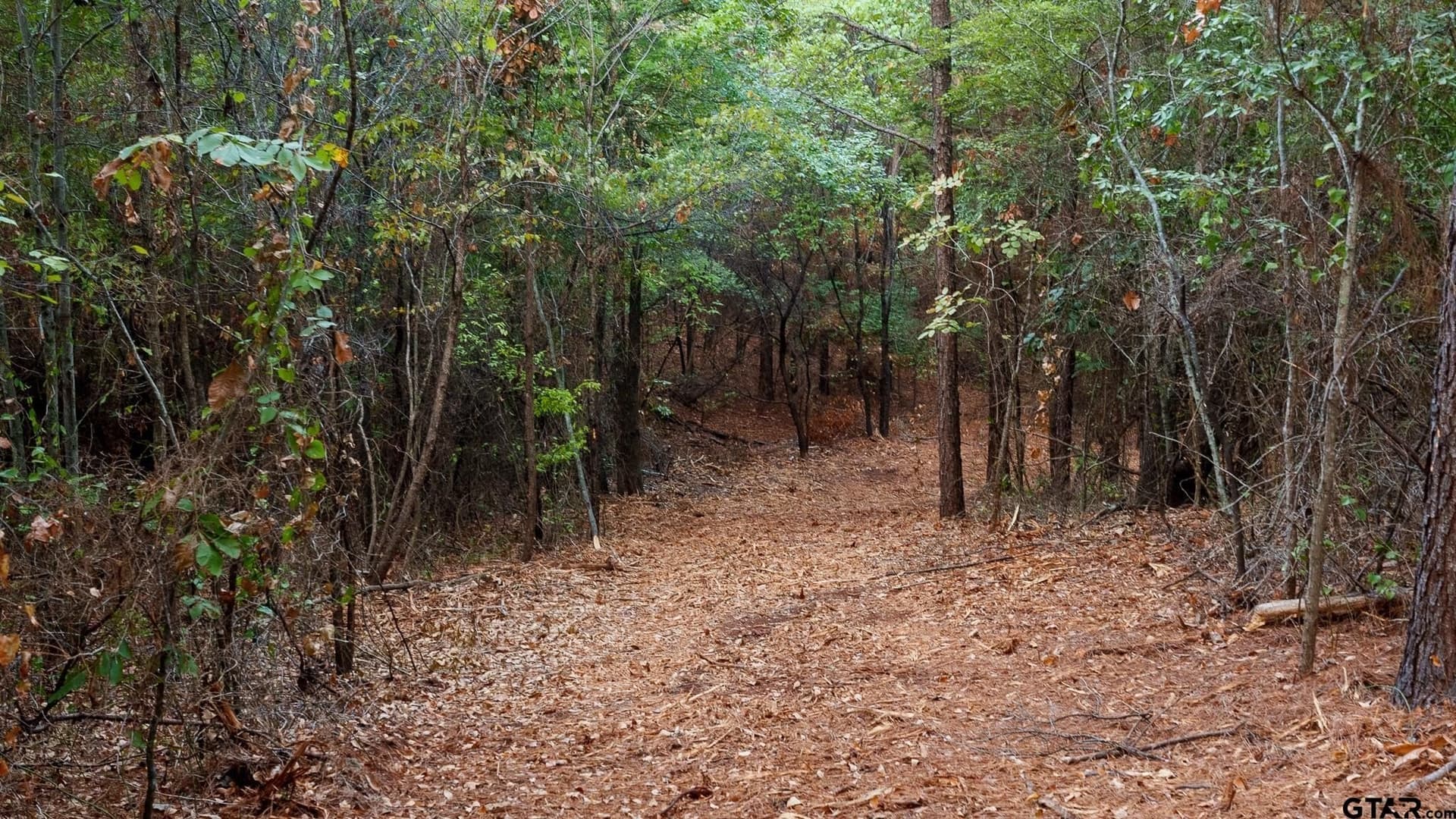 141.79 acres in Smith County - photo 8