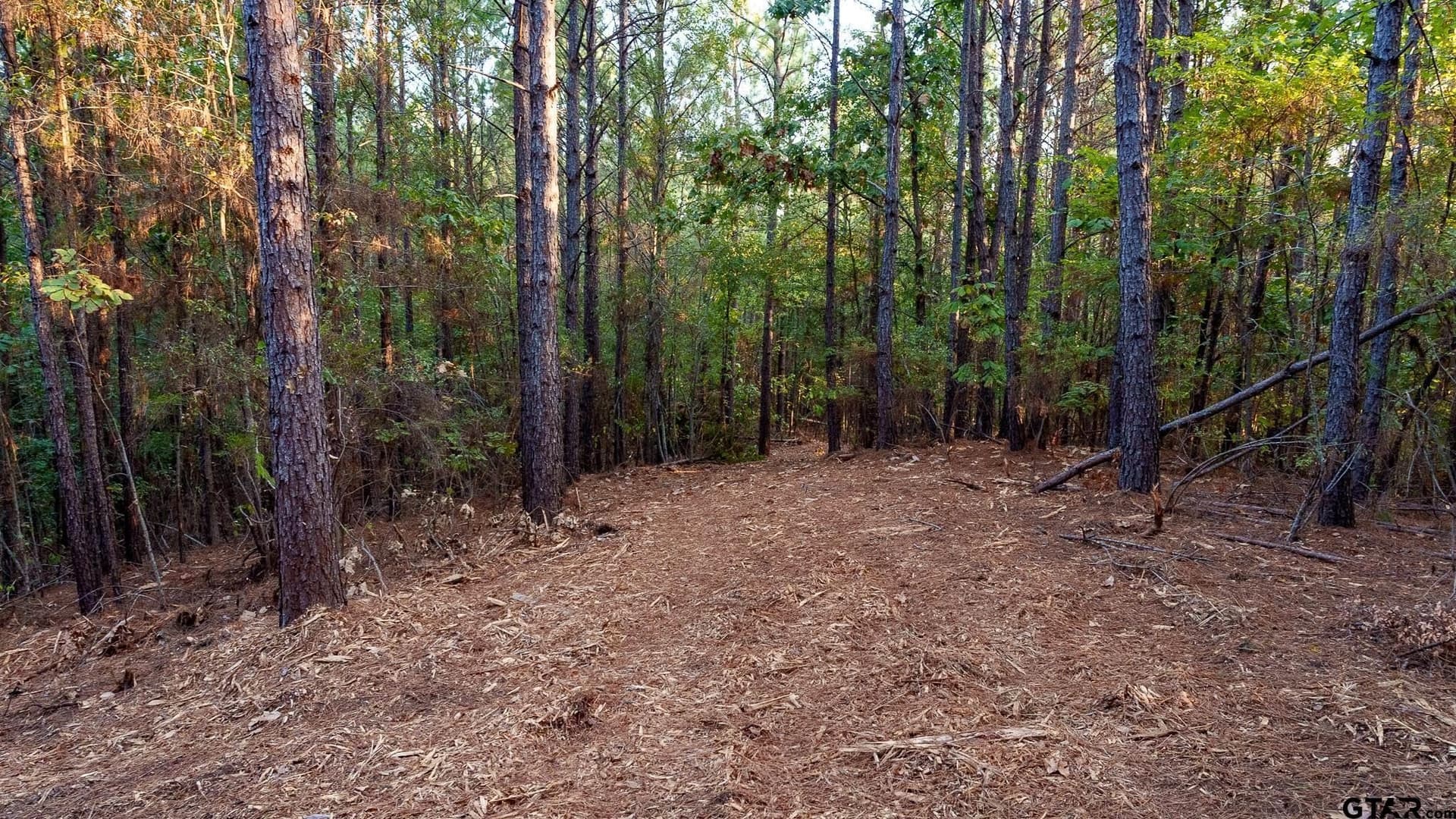 141.79 acres in Smith County - photo 17