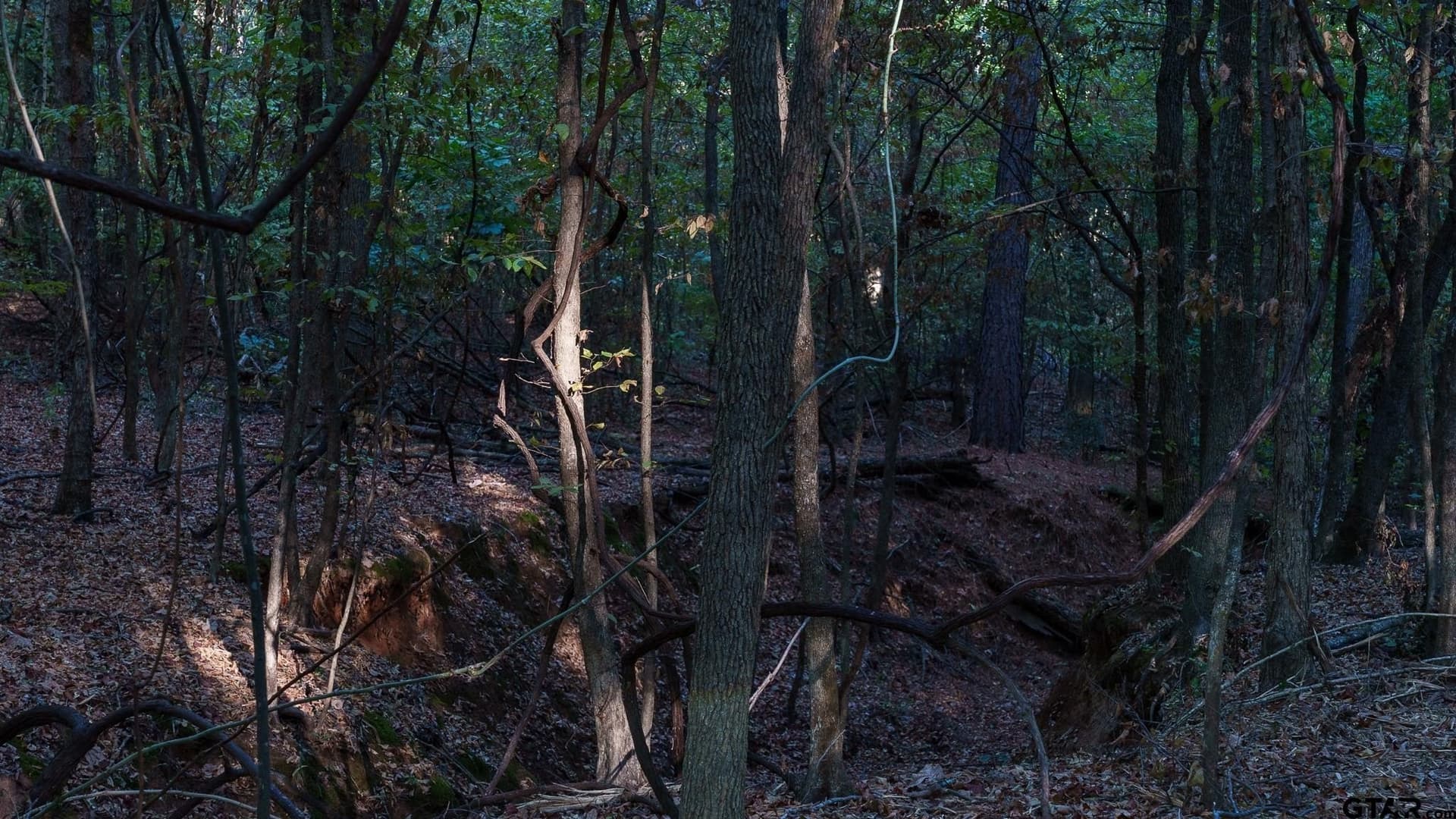 141.79 acres in Smith County - photo 32